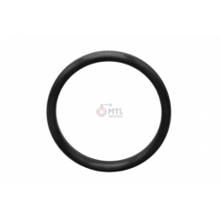 Sealring DIN 11851 AWH