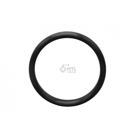 Sealring DIN 11851 AWH