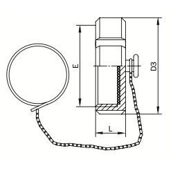 Blind Nut with Boss and Chain SMS AWH