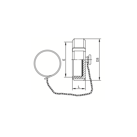 Blind Nut with Boss and Chain SMS AWH
