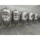 Fermentation tanks